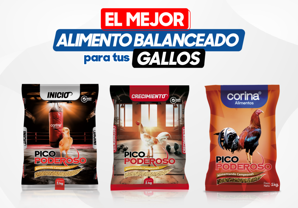 I 3_Mesa de trabajo 1